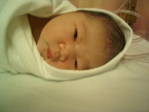 pic0157.jpg